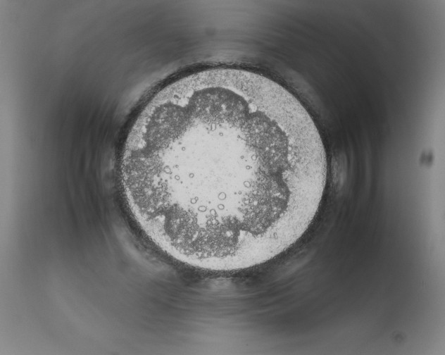 X0000111880588200909031842