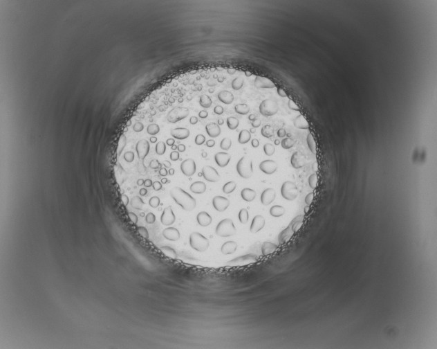 X0000111880589200909031842