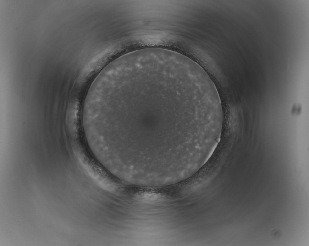 X0000111880590200909031842