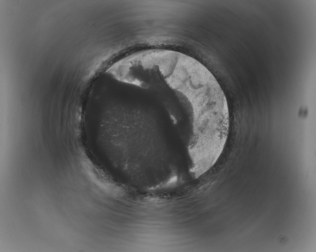 X0000111880592200909031842