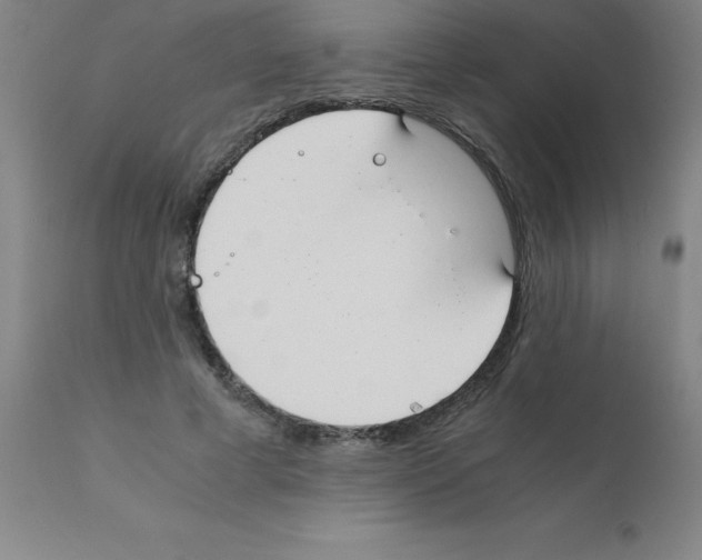 X0000111880593200909031842