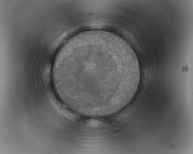 X0000111880596200909031842