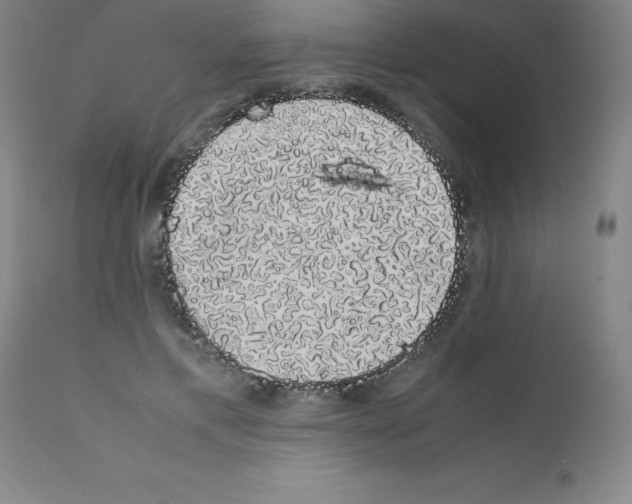 X0000111880597200909031842