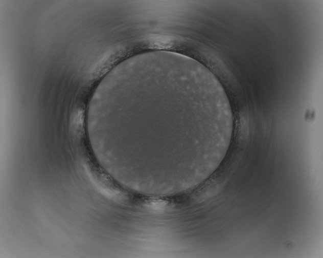 X0000111880598200909031842