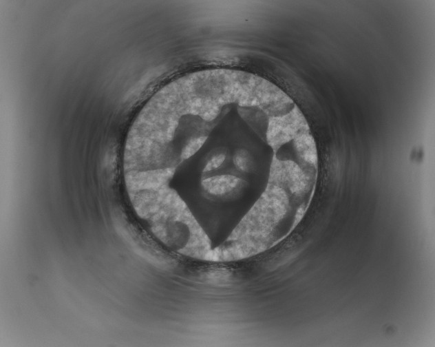 X0000111880600200909031842