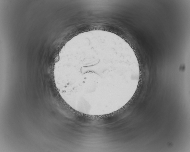 X0000111880601200909031842