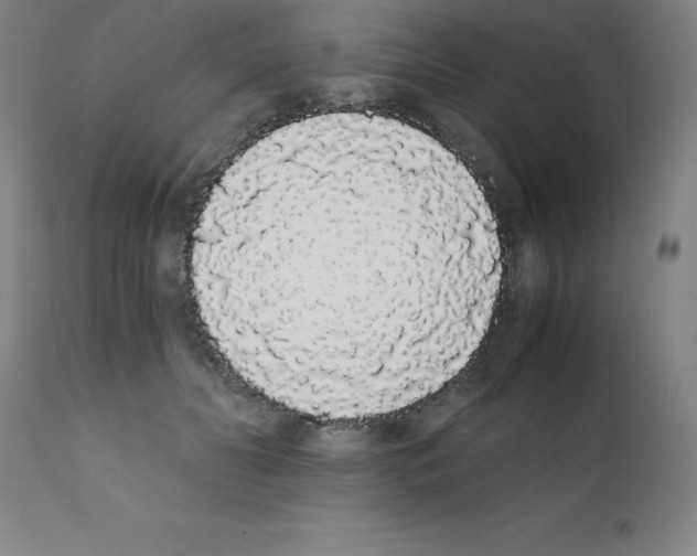 X0000111880606200909031842