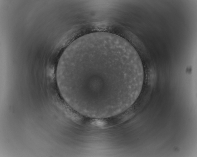 X0000111880610200909031842