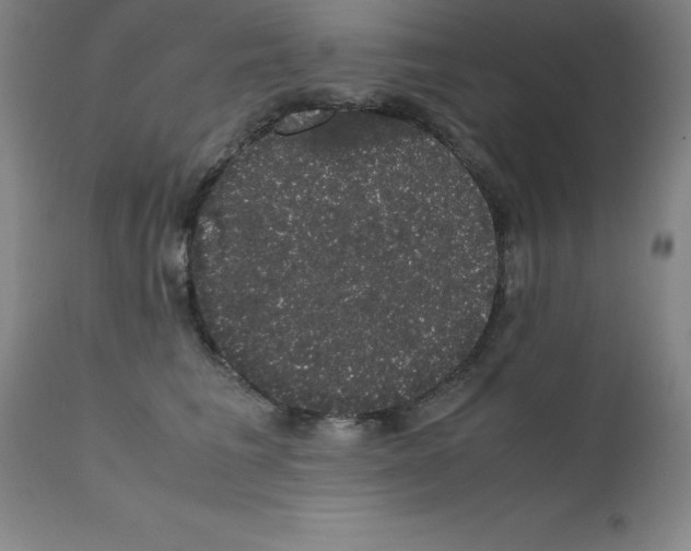 X0000111880613200909031842