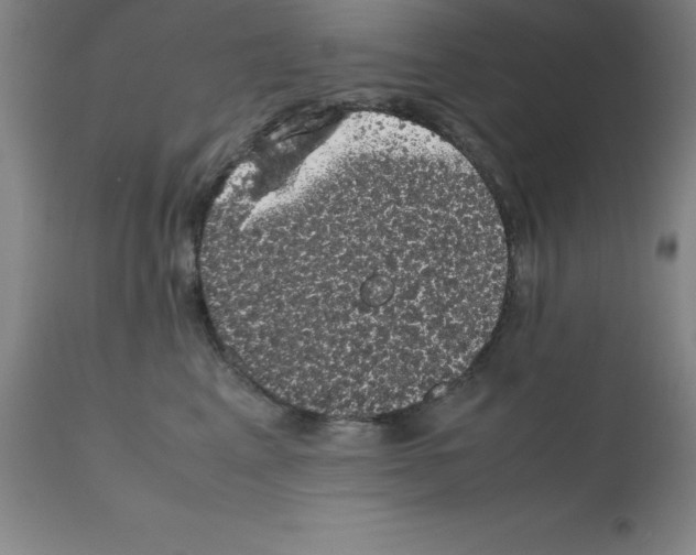 X0000111880617200909031842
