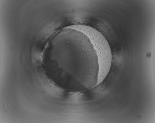 X0000111880621200909031842