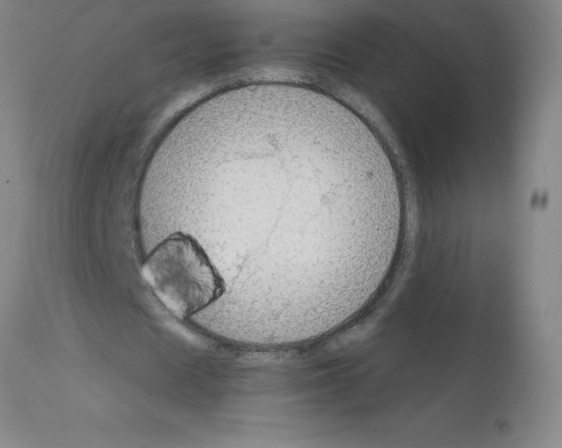 X0000111880625200909031841