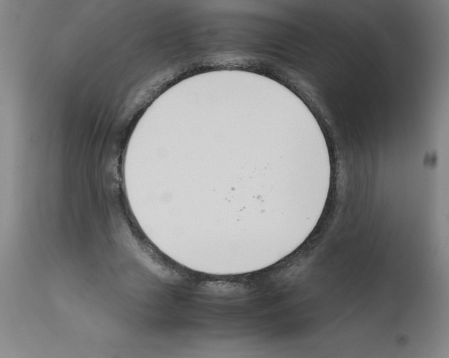 X0000111880633200909031841