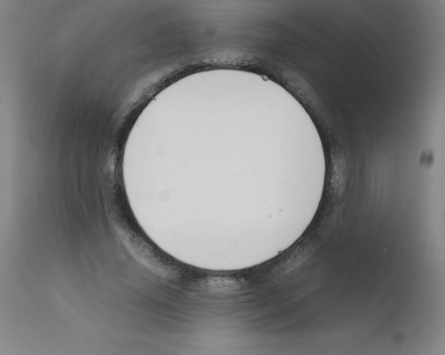 X0000111880636200909031841