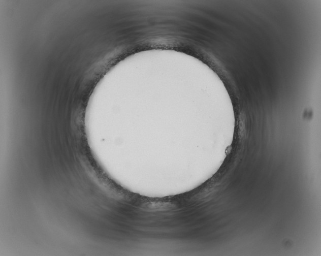 X0000111880637200909031841