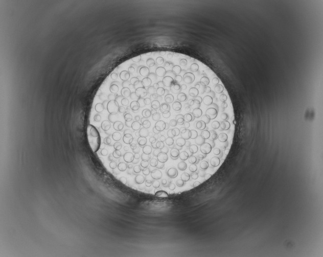 X0000111880639200909031841