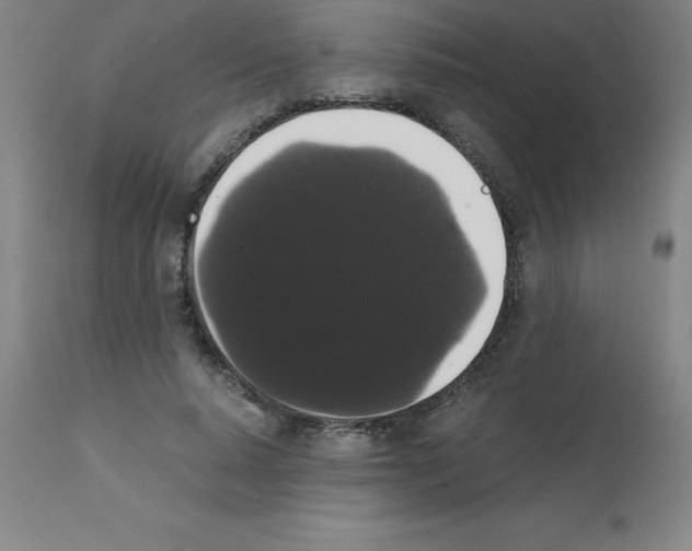 X0000111880640200909031841