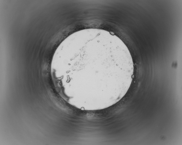 X0000111880641200909031841