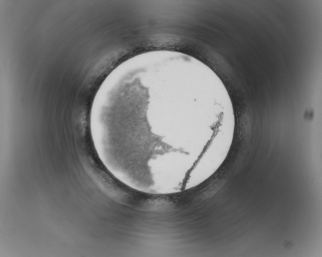 X0000111880644200909031841