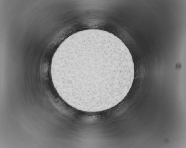 X0000111880646200909031841