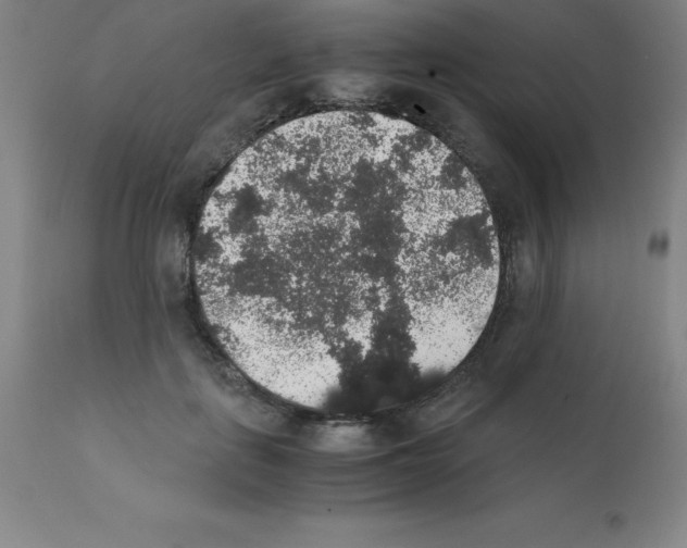 X0000111880651200909031841