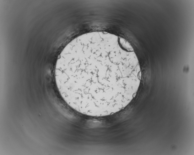 X0000111880655200909031841