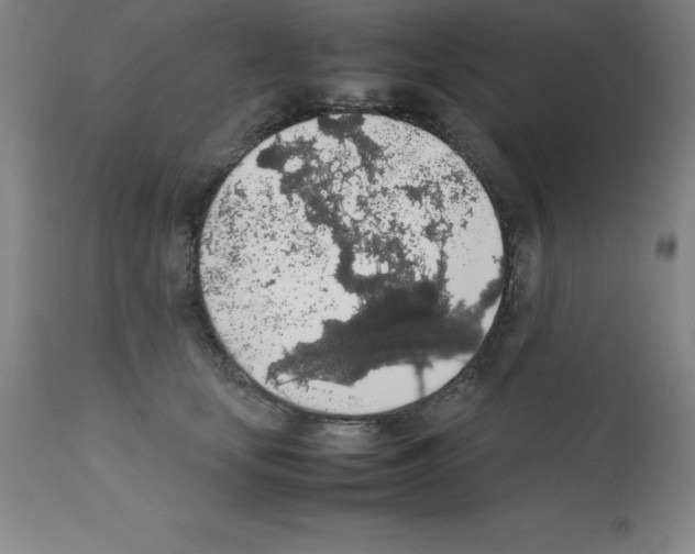 X0000111880659200909031842