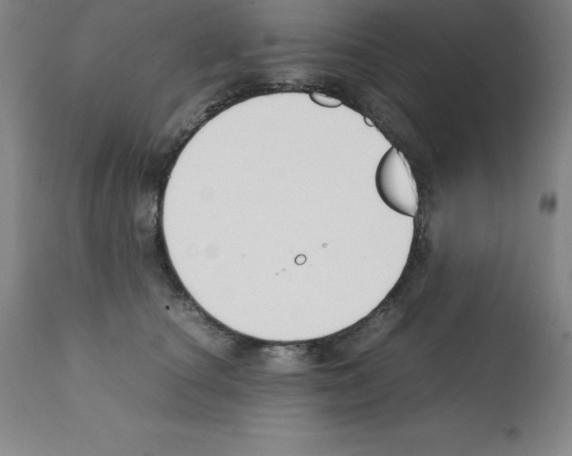 X0000111880660200909031842