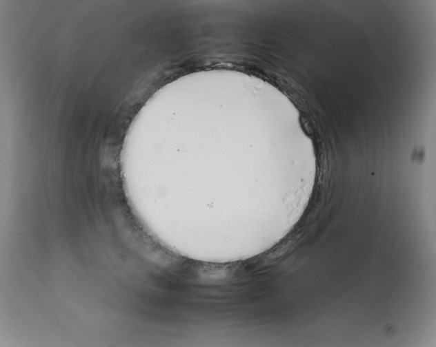 X0000111880661200909031842