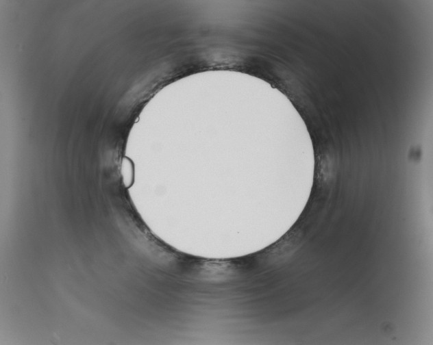 X0000111880666200909031842