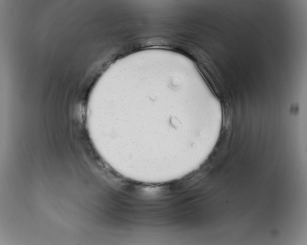 X0000111880669200909031842