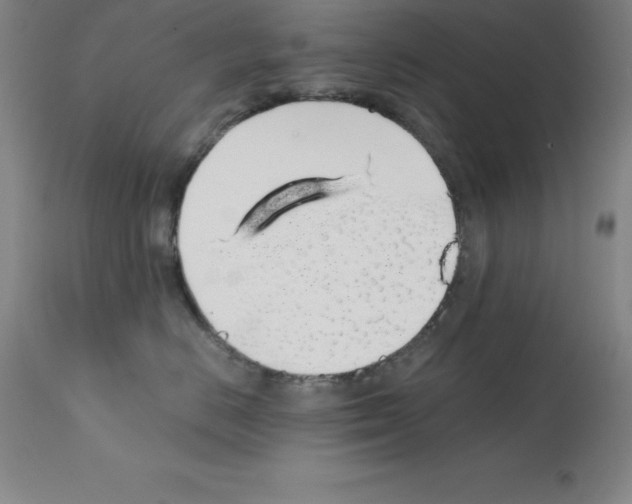 X0000111880670200909031842