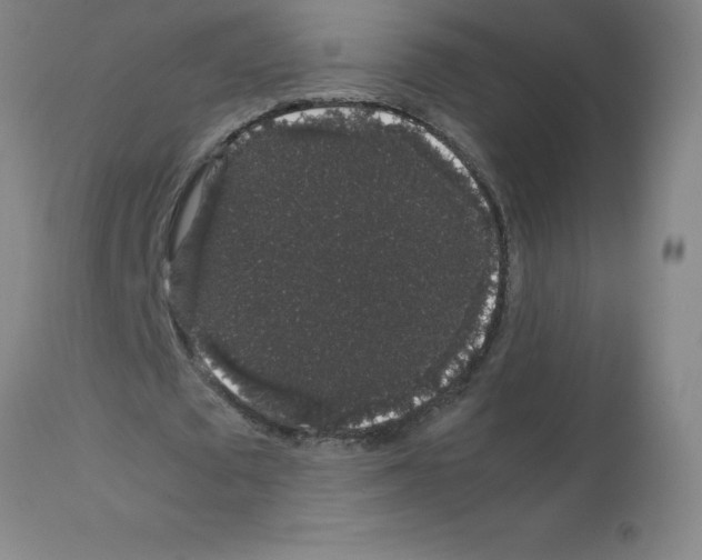 X0000111880673200909031841