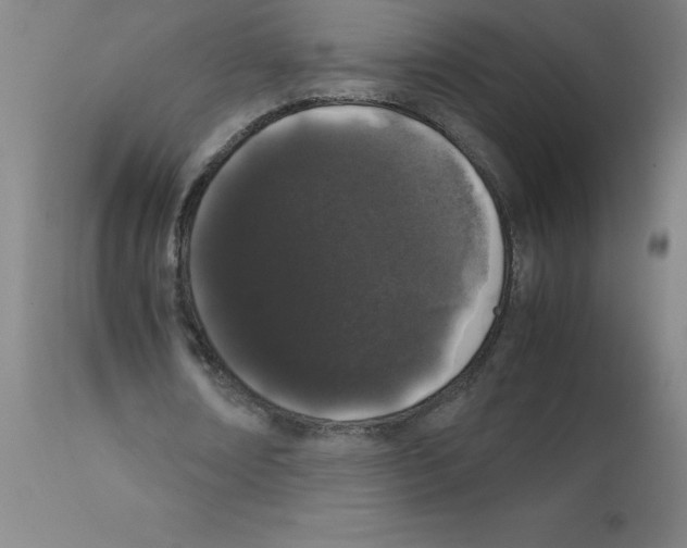X0000111880674200909031841