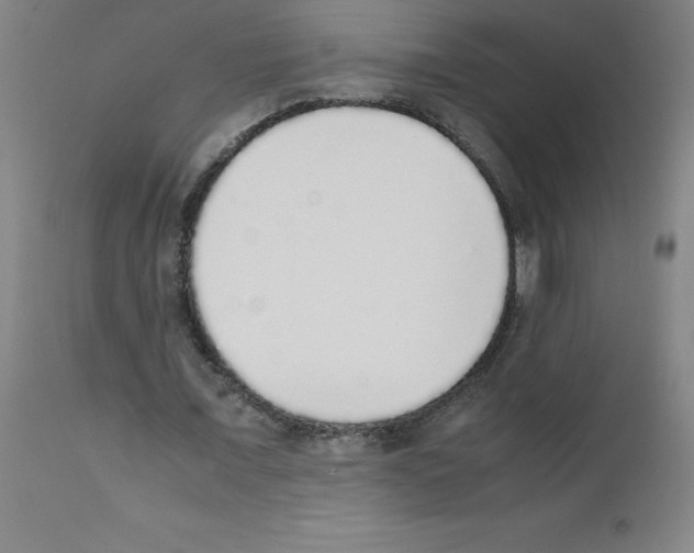 X0000111880675200909031841
