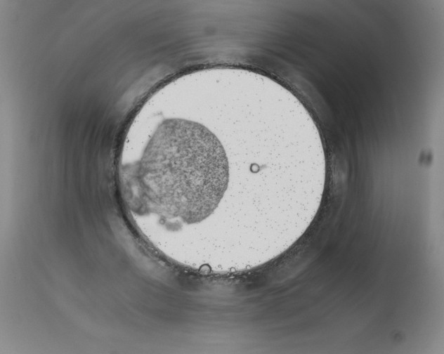X0000111880677200909031841