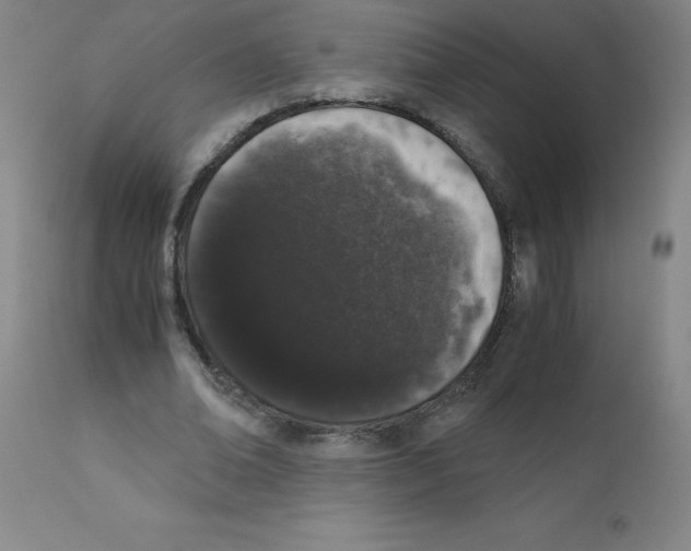 X0000111880678200909031841