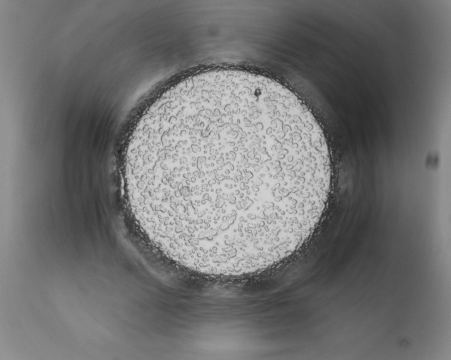 X0000111880680200909031841