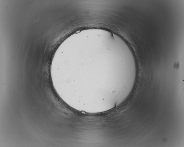 X0000111880681200909031841