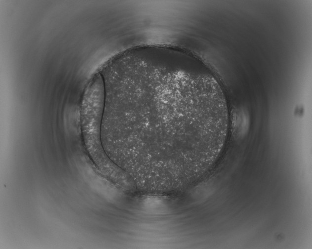 X0000111880684200909031841