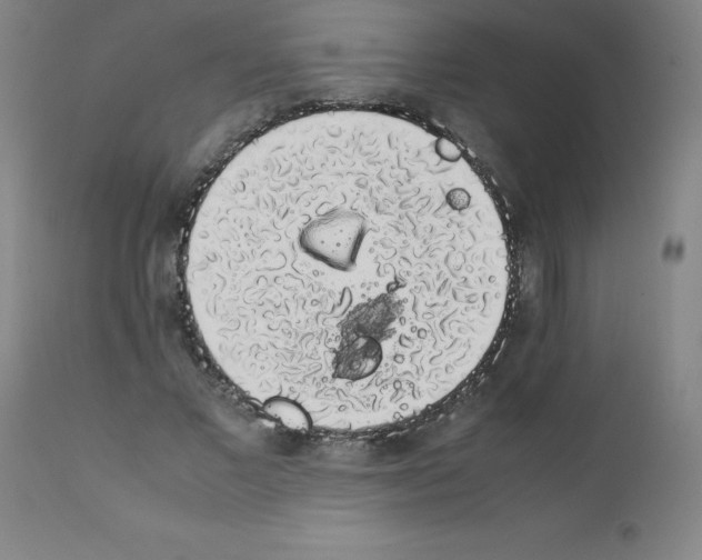 X0000111880685200909031841