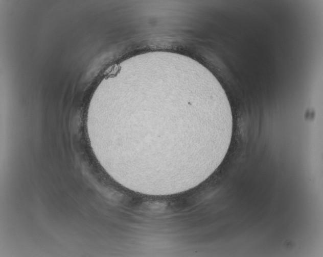 X0000111880687200909031841