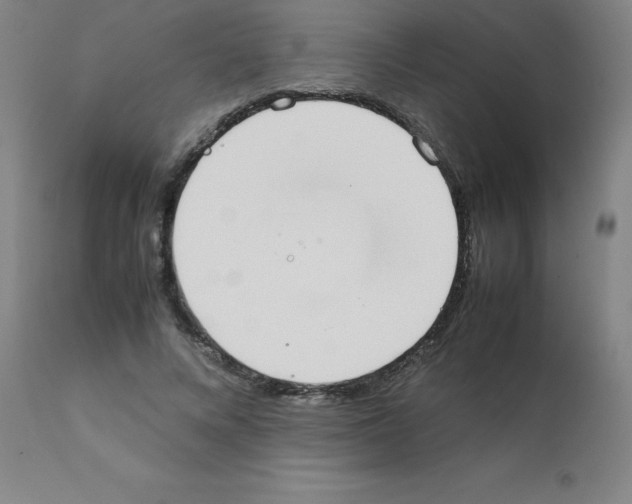 X0000111880688200909031841
