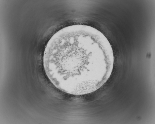 X0000111880689200909031841
