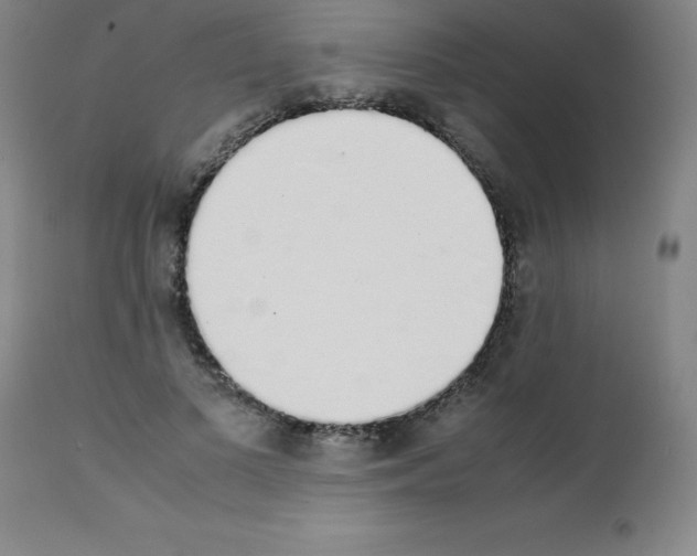 X0000111880693200909031840