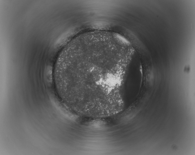 X0000111880696200909031840
