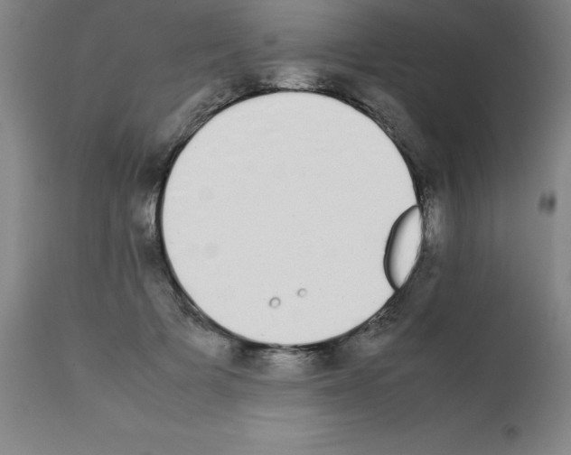 X0000111880697200909031840