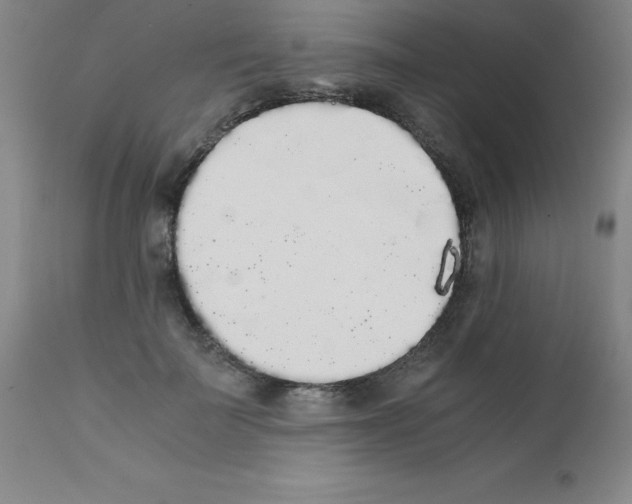 X0000111880699200909031840