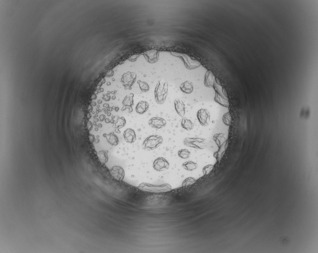 X0000111880700200909031840