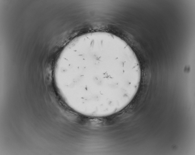 X0000111880703200909031840